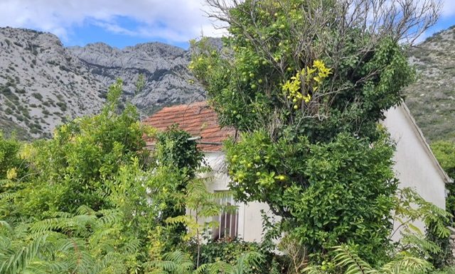 PHOTO-2025-10-21-10-31-29 (3)