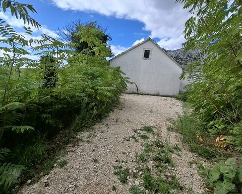 PHOTO-2025-10-21-10-31-29