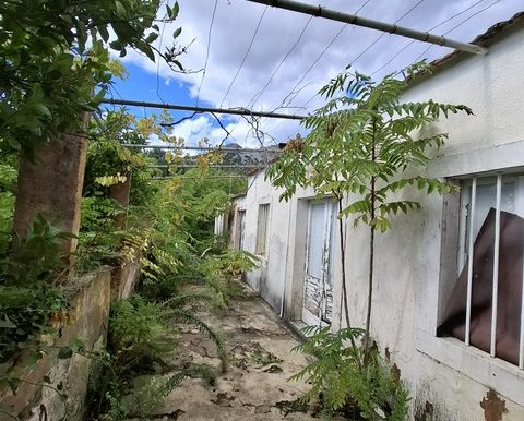 PHOTO-2025-10-21-10-31-29 (6)