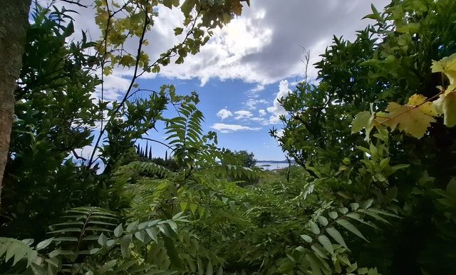 PHOTO-2025-10-21-10-31-29 (8)