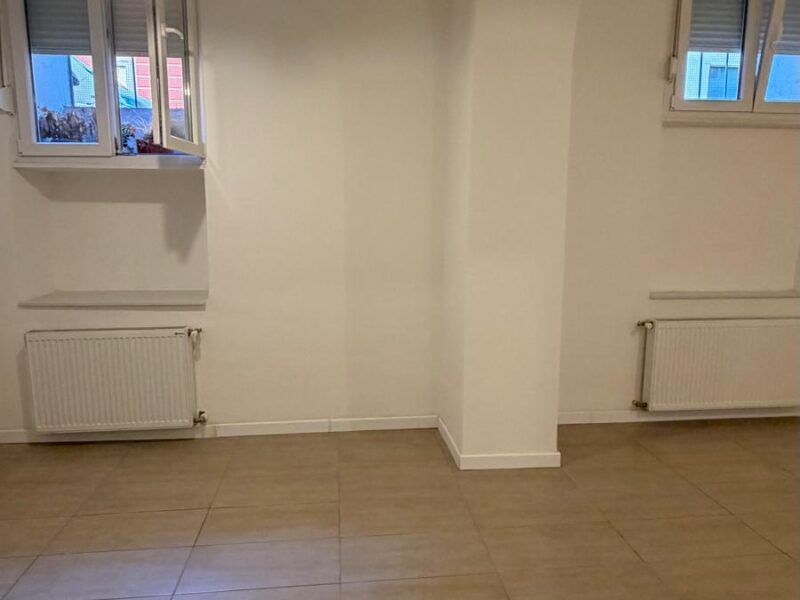 STAN U CENTRU ( PETRINJSKA ULICA) PRODAJEMO